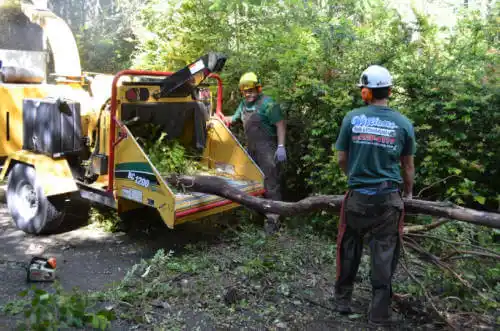 tree services Zanesville